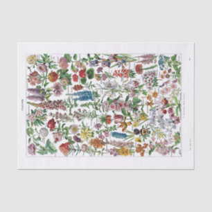 Papier Mousseline Plat français Print-No.22137-Flowers/Fle de