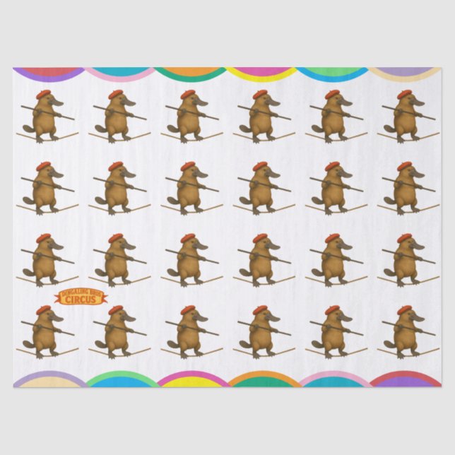 Papier Mousseline Platon ornithorynque funambule (Recto)