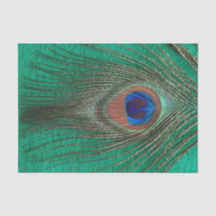 Papier Mousseline Plume de paon sur le vert