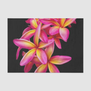 Papier Mousseline Plumeria rose assez photo florale
