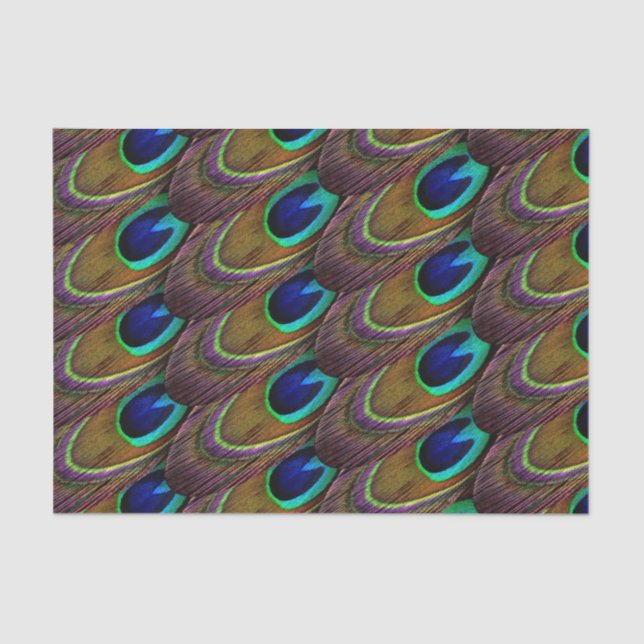 Papier Mousseline Plumes de bleu et de pourpre de paon (Recto)