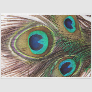 Papier Mousseline Plumes de paon 2 papier de tissus de découpage