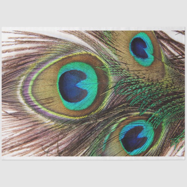 Papier Mousseline Plumes de paon 2 papier de tissus de découpage (Recto)