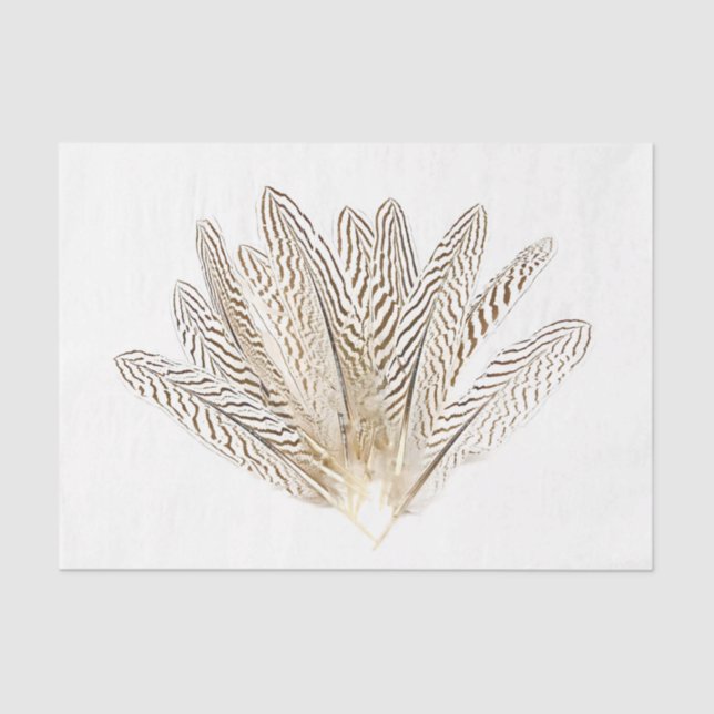 Papier Mousseline Plumes d'impression Zebra #2 (Recto)