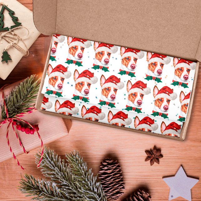 Papier Mousseline Podengo Chien race portugais Étoiles de Noël (Créateur téléchargé)