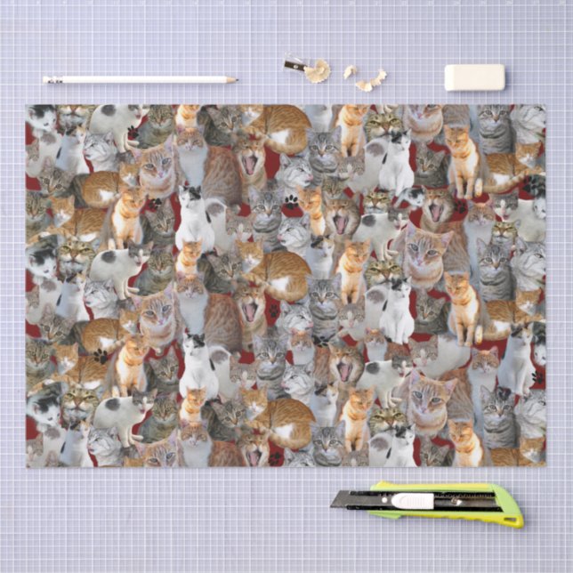 Papier Mousseline Point de rencontre des chats - mignon (Artisanat)