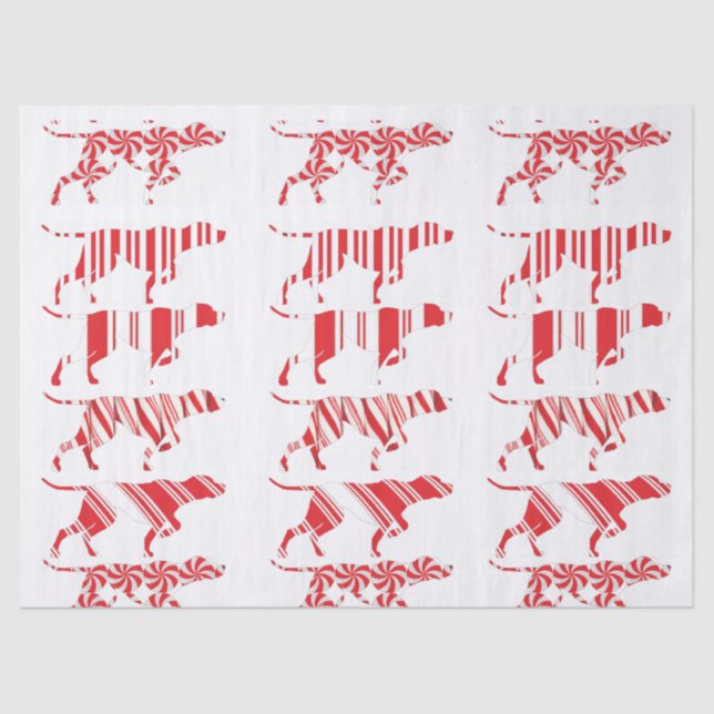 Papier Mousseline POINTEUR ALLEMAND À COURT TERME - Papier de tissus (Recto)