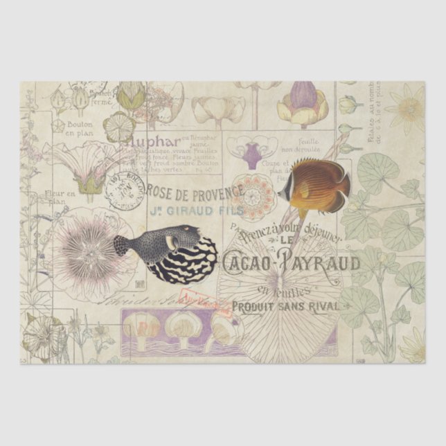 Papier Mousseline Poissons français de fleur de Nouveau d'art (Recto)