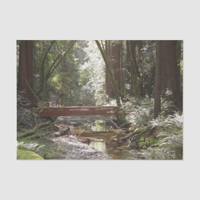 Papier Mousseline Pont de Muir Woods II (Recto)