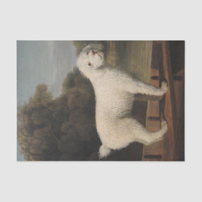 Papier Mousseline Poodle blanc dans un Punt (par George Stubbs) (Recto)