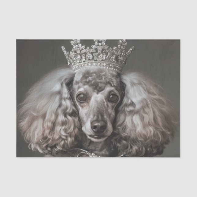 Papier Mousseline Poodle gris habillé en princesse (Recto)