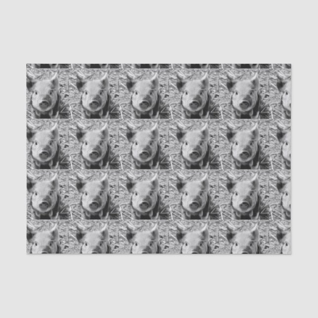 Papier Mousseline porcelet doux, blanc noir (Recto)