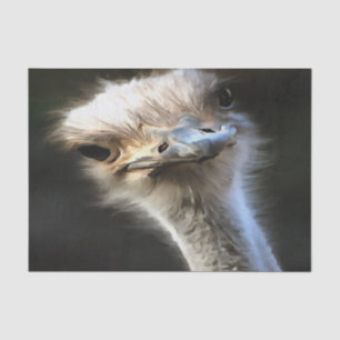 Papier Mousseline Portrait Artistique Ostrich Avec Expression Goofy
