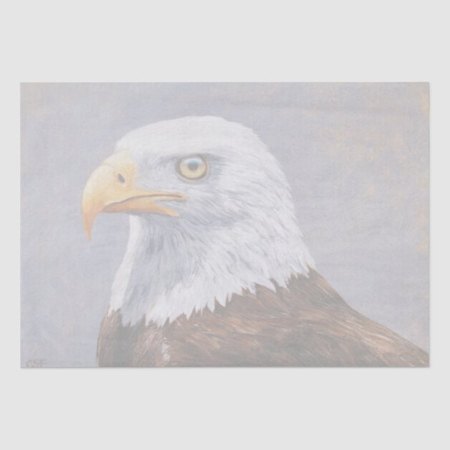 Papier Mousseline Portrait de Bald Eagle (Recto)