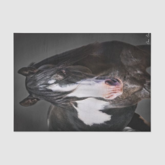 Papier Mousseline Portrait de cheval II (Recto)