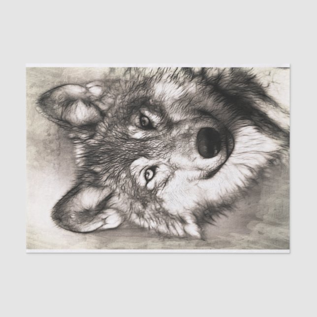 Papier Mousseline Portrait de loup (Recto)