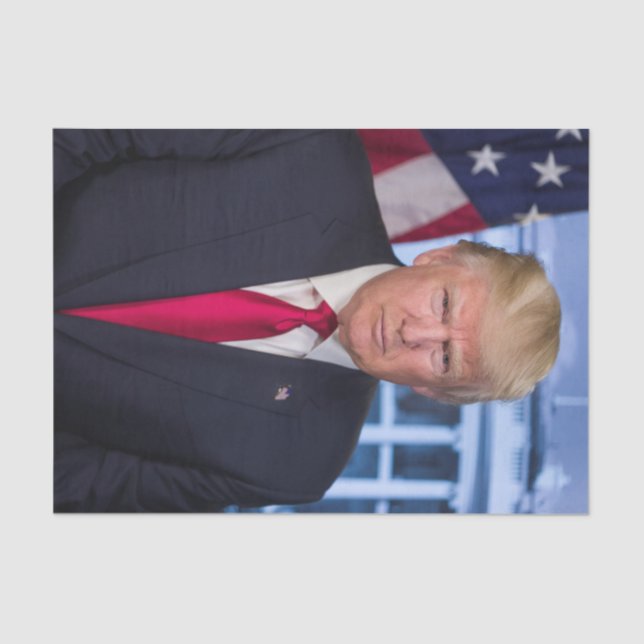 Papier Mousseline Portrait officiel de Donald Trump (Recto)