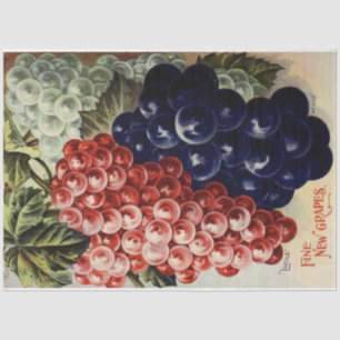 Papier Mousseline Poster Art Nouveau 25 Dessous de raisin Papier Tis