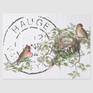 Papier Mousseline Poster d'oiseau français Décopage Vintage