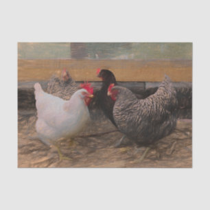 Papier Mousseline Poulet de basse-cour vintage campagnard