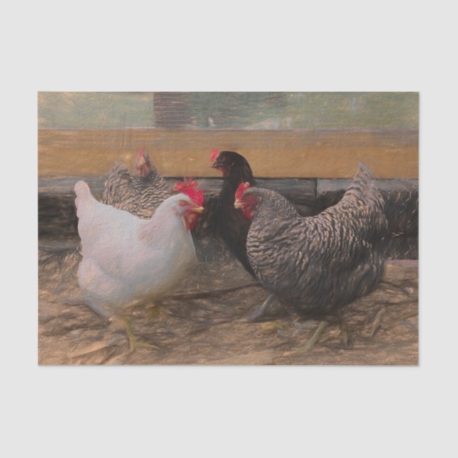 Papier Mousseline Poulet de basse-cour vintage campagnard (Recto)