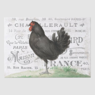 Papier Mousseline Poulet Noir Hen Français Ville Nom Paris Découpage