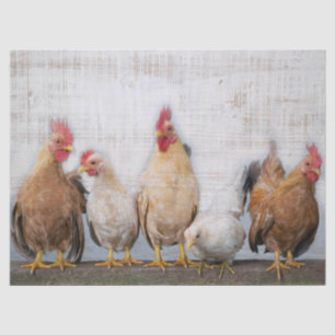 Papier Mousseline Poulets