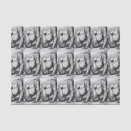 Papier Mousseline Pour Lui Handsome Fit Homme Bodybuilder Sport