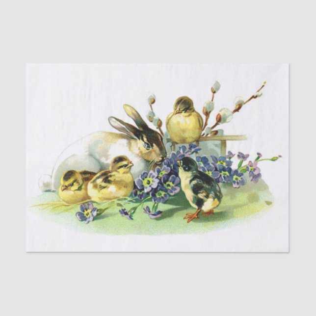 Papier Mousseline Poussins et lapin (Recto)