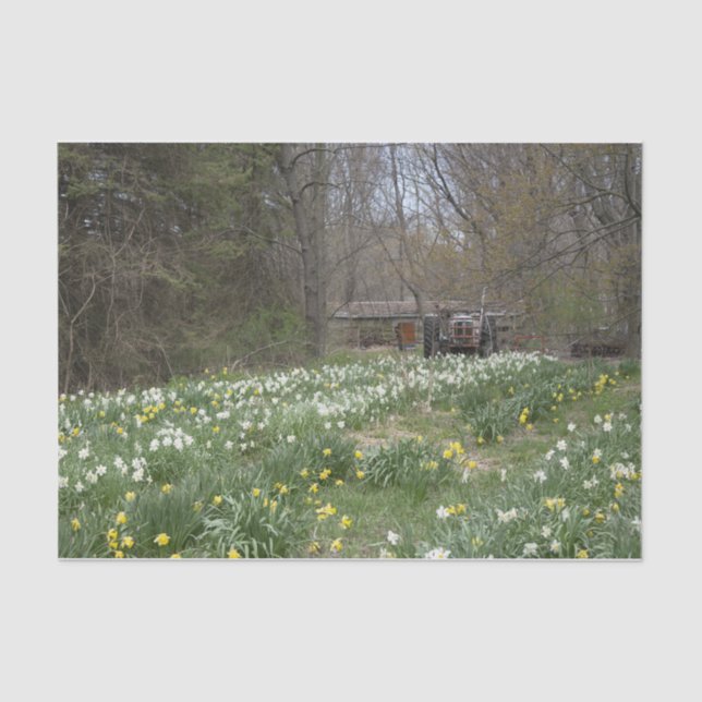 Papier Mousseline Pré-fleur de construction agricole délabrée (Recto)