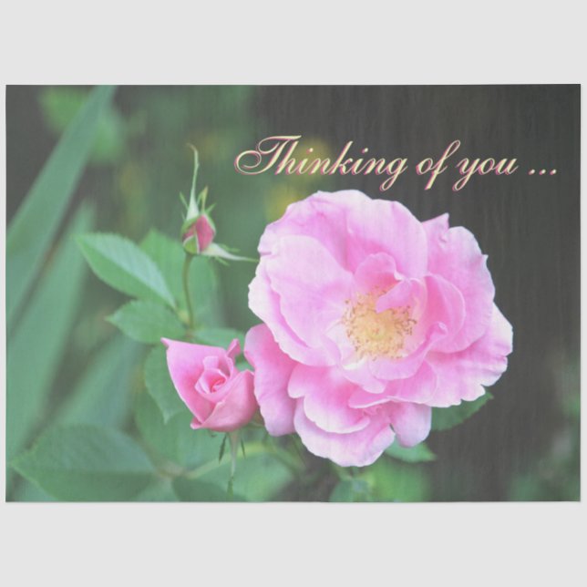 Papier Mousseline Pretty Thing Of You Tissue paper (Recto)