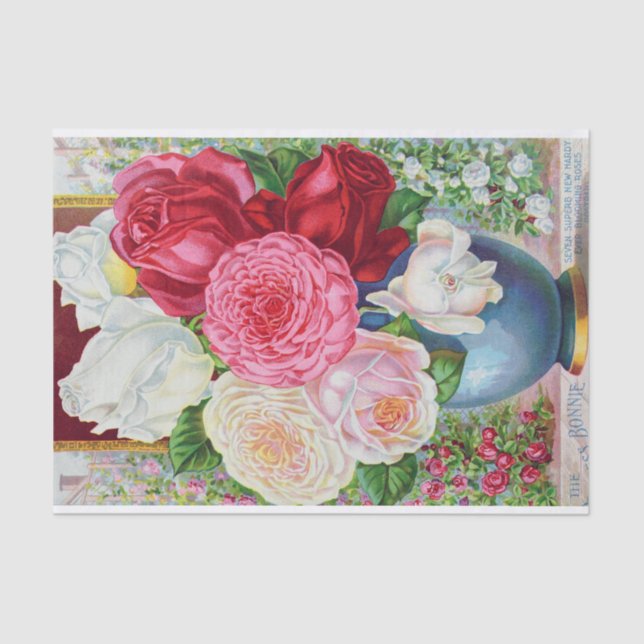 Papier Mousseline Princess Bonnie et Hardy Roses (Recto)