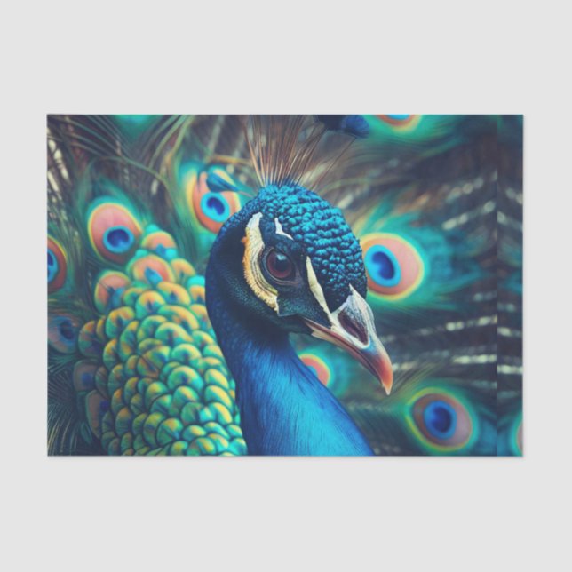 Papier Mousseline Profil Peacock (Recto)