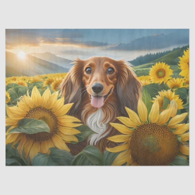 Papier Mousseline Puppy aime les tournesols Brown Long Haired Dachsh (Recto)