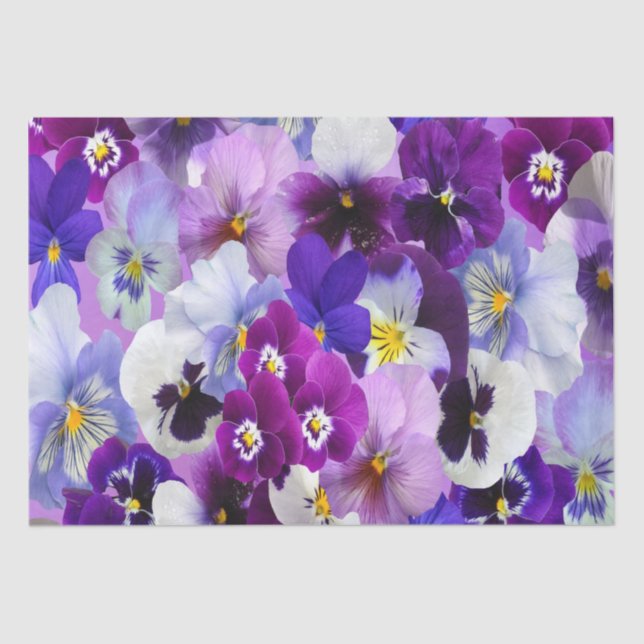 Papier Mousseline Purple Bleu Blanc Pansé Floral Flower Brithday (Recto)
