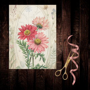 Papier Mousseline Pyrèthre Botanique Florale à Marguerites Peintes e