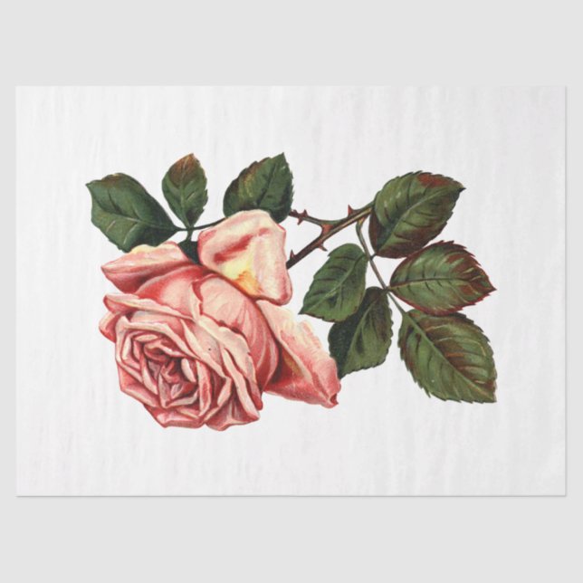 Papier Mousseline Queen Bee Series Design 63 (Recto)