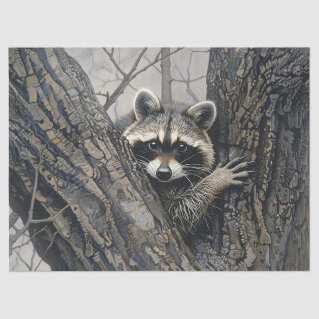 Papier Mousseline Raccoon dans un arbre peint découpage (Recto)