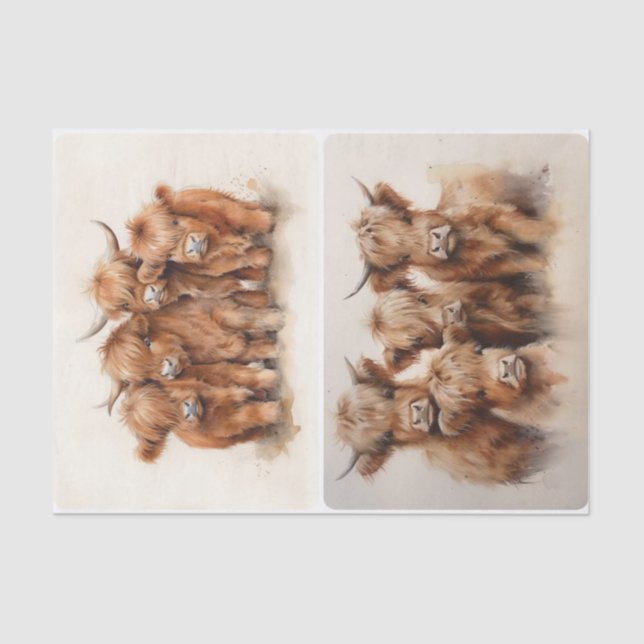 Papier Mousseline Rassemblement des Highlands (Recto)