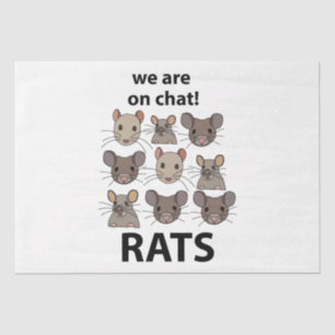 Papier Mousseline Rats Animal Nous Sommes Sur Conversation Rats Drôl