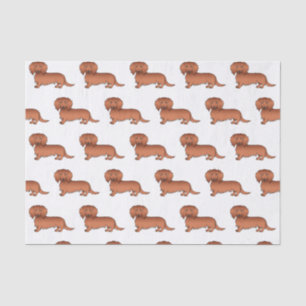 Papier Mousseline Red Long Cheveux Dachshund mignon Motif de dessin