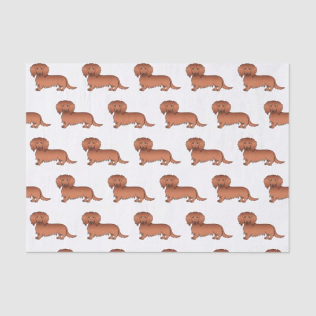 Papier Mousseline Red Long Cheveux Dachshund mignon Motif de dessin (Recto)