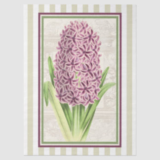 Papier Mousseline Red Purple Hyacinth n Gold Stripes Botanical Art 