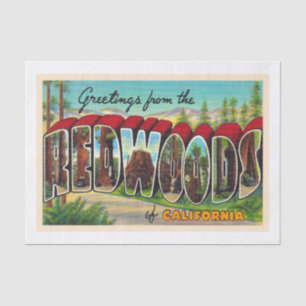 Papier Mousseline Redwoods California Vintage Grande Lettre carte po