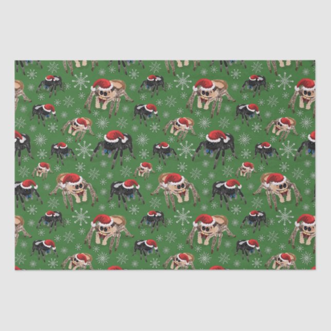 Papier Mousseline Regal Jumping Spider Phiddipus Regius Holiday Moss (Recto)