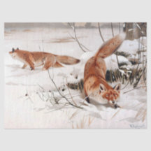 Renards roux dans la neige hivernale (par Wilhelm 