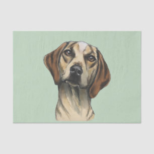 Papier Mousseline Rendu curieux de chien