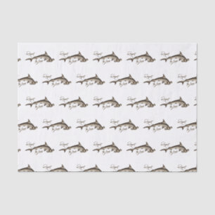 Papier Mousseline Respectez la citation amusante de requin marteau l
