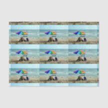 Retraité - Chaque jour est le samedi. Pêche libre