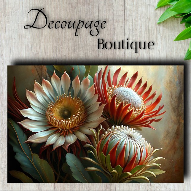 Papier Mousseline Rêves de Protea Royale Découpe (Royal Protea Dreams Decoupage Tissue Paper)